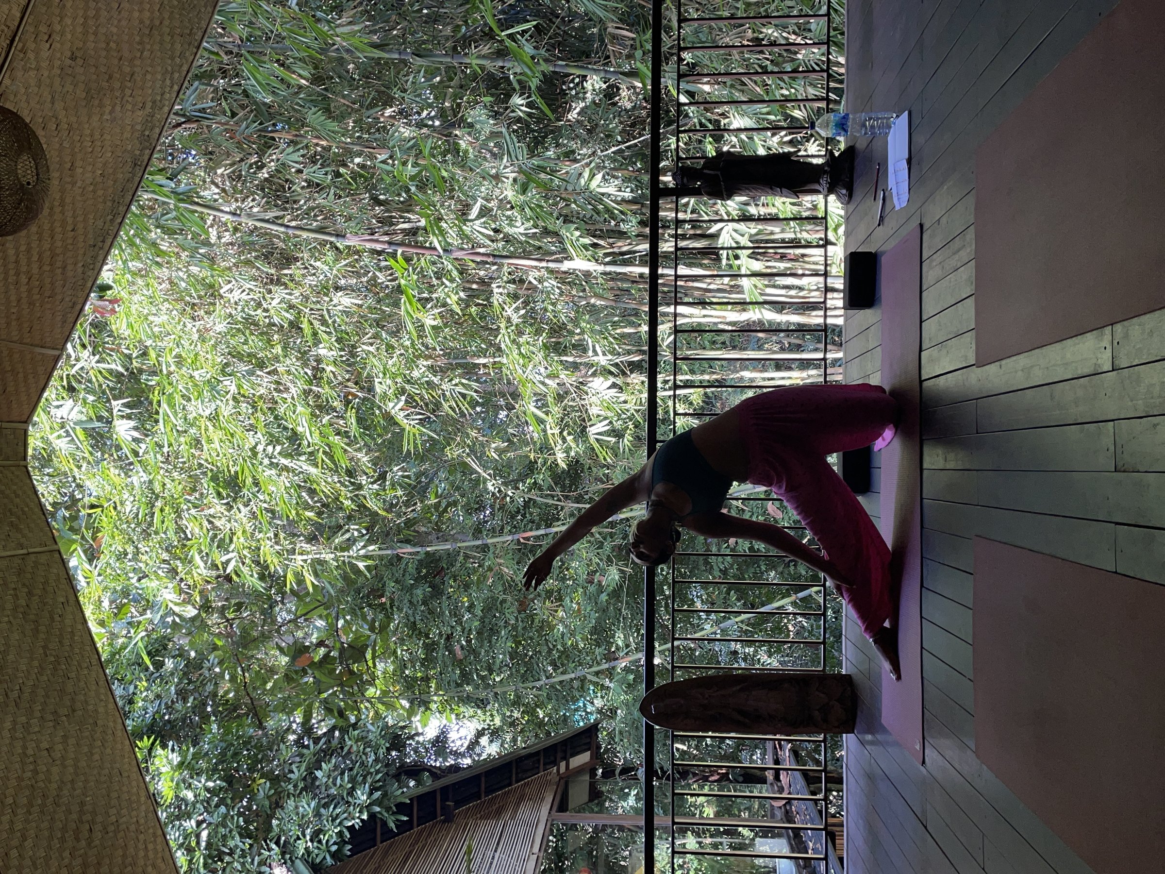 Hatha & Yin Yoga Workshops